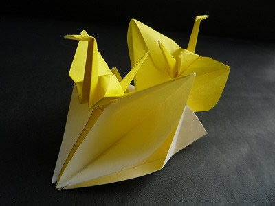 双连千纸鹤的折纸图解威廉希尔中国官网
手把手教你制作漂亮的折纸千纸鹤