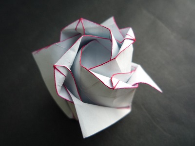 具有独特质感的纸玫瑰花折法图解威廉希尔中国官网
一步一步教你学习折纸玫瑰