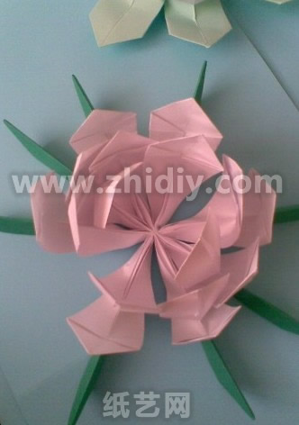 第三十四步现在已经看到中秋节的威廉希尔公司官网
折纸荷花的主体花部分已经制作完成了