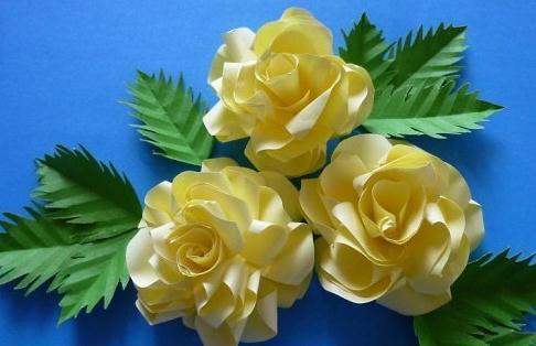 卷纸玫瑰花的制作图解威廉希尔中国官网
手把手教你制作漂亮的卷纸玫瑰花