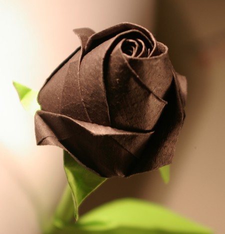 精美的折纸玫瑰花十分适合被制作成漂亮的父亲节威廉希尔公司官网
纸艺礼物