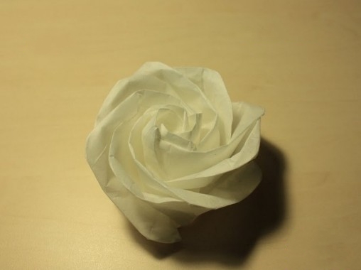 欧美折纸玫瑰花的折法图解威廉希尔中国官网
手把手教你制作漂亮的折纸玫瑰花