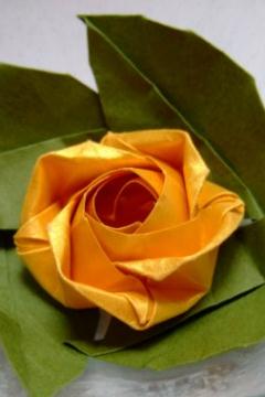 EB纸玫瑰的简单折法图解威廉希尔中国官网
手把手的教你学习纸玫瑰的折法