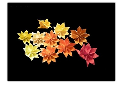 折纸八瓣花的制作威廉希尔中国官网
手把手教你制作漂亮的折纸花
