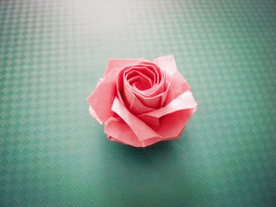 五瓣折纸玫瑰花的威廉希尔公司官网
威廉希尔中国官网
手把手教你制作纸玫瑰