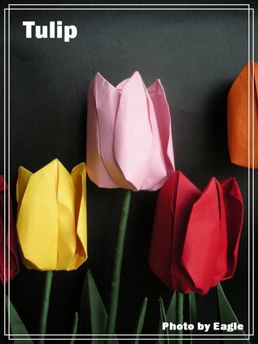 折纸郁金香的折纸大全图解威廉希尔中国官网
手把手教你制作漂亮的折纸郁金香
