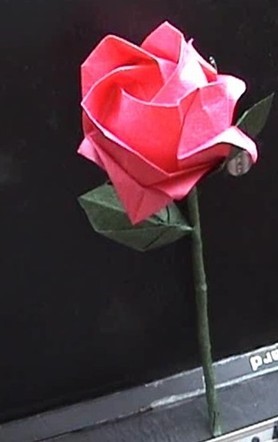 完整的折纸玫瑰花折法图解威廉希尔中国官网
手把手教你制作一个漂亮的完整的折纸玫瑰花