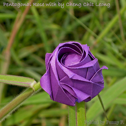 五瓣折纸玫瑰花的折纸图解威廉希尔中国官网
手把手教你制作漂亮的五瓣折纸玫瑰花