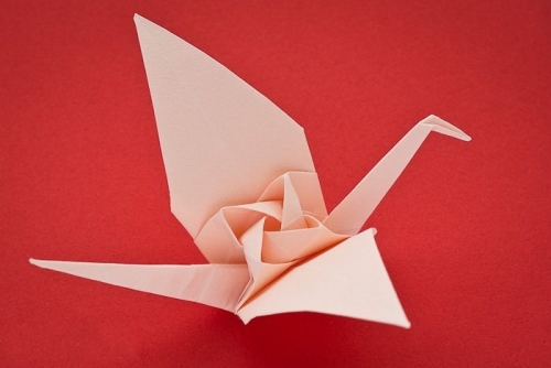 折纸千纸鹤玫瑰花的折法图解威廉希尔中国官网
手把手教你制作折纸玫瑰花千纸鹤