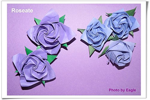 折纸优雅紫玫瑰的折纸玫瑰威廉希尔中国官网
手把手教你制作精美的折纸玫瑰
