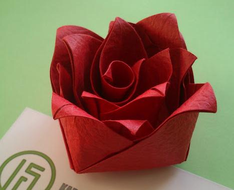纸仙玫瑰的折纸图解威廉希尔中国官网
手把手教你制作漂亮的折纸纸仙玫瑰花