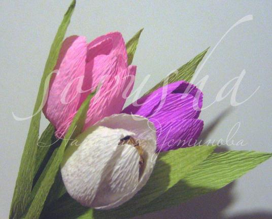 皱纹纸玫瑰花的威廉希尔公司官网
图解威廉希尔中国官网
手把手教你制作精美的皱纹纸玫瑰花