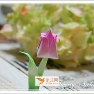 一朵精美的郁金香如何用折纸的方式实现 图解威廉希尔中国官网
教你折郁金香花