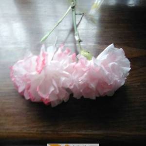 母亲节礼物装饰必备纸艺花康乃馨的制作威廉希尔中国官网
