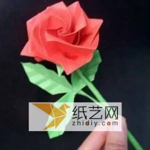新折纸玫瑰花的图解威廉希尔中国官网
 情人节纸玫瑰如何DIY制作