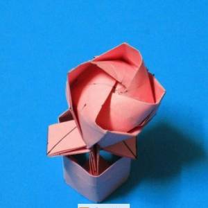 立体折纸玫瑰花+折纸花盆折纸制作威廉希尔中国官网
（转）