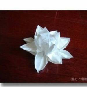 看起来特别复杂的睡莲折纸方法步骤图解威廉希尔中国官网
