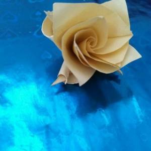 折纸玫瑰花的简单做法 一个你一定能学会的折纸玫瑰花威廉希尔中国官网
