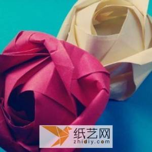 实拍图威廉希尔中国官网
一步一步的教你如何折叠折纸玫瑰花