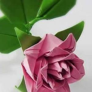 超美的折卷心玫瑰的方法图解 卷心折纸玫瑰详细过程