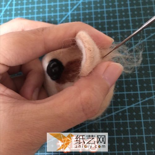 【招耳猫】羊毛毡威廉希尔中国官网
之松鼠胸针 第21步