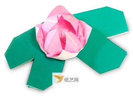 使用折纸折叠娇艳莲花的方法图解