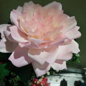 情人节染色皱纹纸纸玫瑰花的做法 一个简单的新纸玫瑰花威廉希尔中国官网
