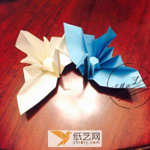 新颖的折纸千纸鹤威廉希尔中国官网
 创意威廉希尔公司官网
纸鹤DIY折叠