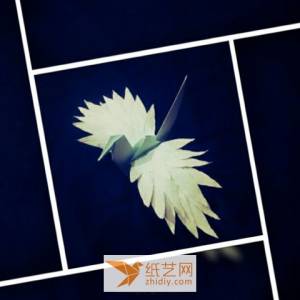 展翅飞翔的折纸千纸鹤创新制作威廉希尔中国官网
