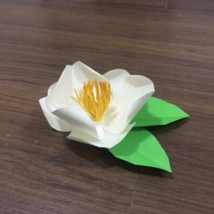 简单易上手的山茶花纸艺花制作威廉希尔中国官网
 可以装饰教师节礼物包装盒