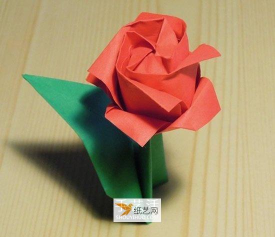 川崎玫瑰改良折叠方法图解威廉希尔中国官网
