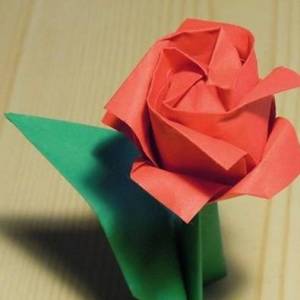 川崎玫瑰改良折叠方法图解威廉希尔中国官网
