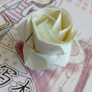 美美的情人节礼物威廉希尔公司官网
折纸玫瑰花详细制作方法