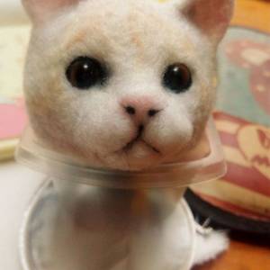 羊毛毡小猫的详细做法图解威廉希尔中国官网
 一个可爱的小猫头部用羊毛毡来做