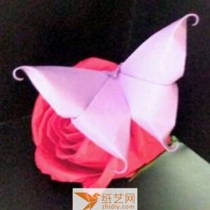 特别简单的立体折纸蝴蝶制作威廉希尔中国官网
