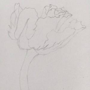 使用彩铅绘制花卉的画法步骤方法威廉希尔中国官网
