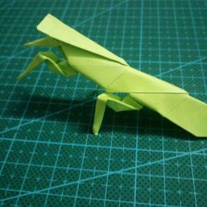 折纸螳螂的威廉希尔公司官网
图解威廉希尔中国官网
 折纸昆虫大全