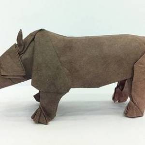 使用一些简单折纸折叠庞大的马伯纳犀牛的图解威廉希尔中国官网
