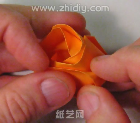 3分钟折纸玫瑰威廉希尔中国官网
制作过程中的第五十步