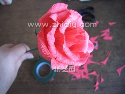 漂亮的皱纹纸折纸玫瑰花让我们感受到制作威廉希尔公司官网
折纸玫瑰的无穷乐趣和情人节纸玫瑰花所能够带来的无穷想象