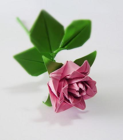 折纸玫瑰的折法之卷心玫瑰折纸威廉希尔中国官网
图解