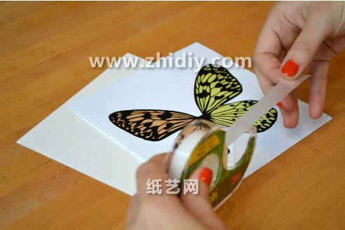 学习制作立体纸雕蝴蝶壁饰威廉希尔中国官网
可以帮助你完成漂亮的纸雕壁饰蝴蝶