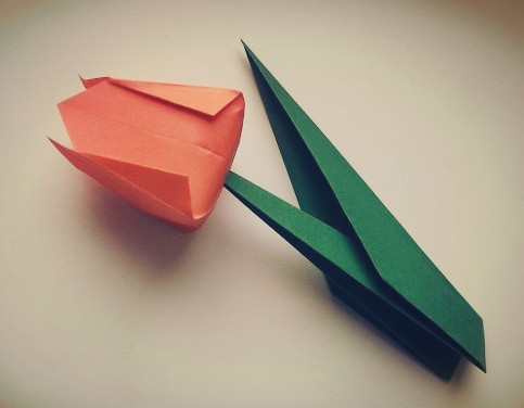 最终完成制作的折纸郁金香制作威廉希尔中国官网
教我们制作出漂亮的折纸郁金香来