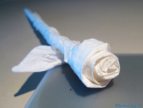 折纸玫瑰花的折法图解大全之餐巾纸制作折纸玫瑰花的折法图解威廉希尔中国官网
