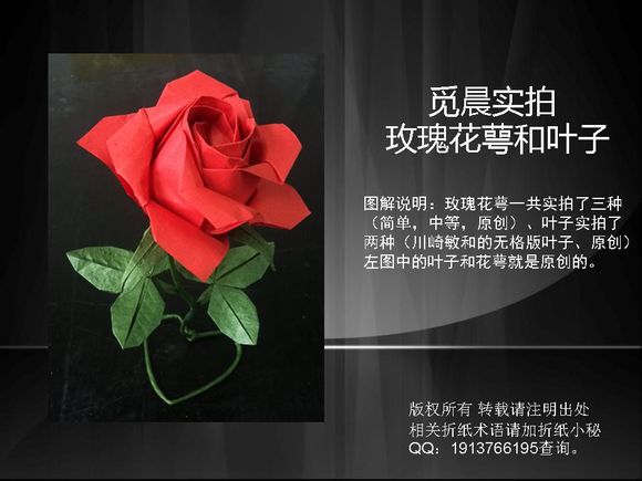 折纸玫瑰花的折法图解威廉希尔中国官网
手把手教你制作漂亮的折纸玫瑰花