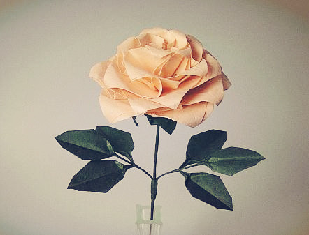 25瓣玫瑰超漂亮折纸玫瑰花视频威廉希尔中国官网
