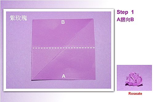 紫玫瑰花的图解威廉希尔中国官网
展现出来的是玫瑰花的折叠和制作