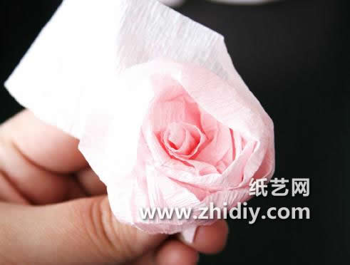 玫瑰花球的折法威廉希尔中国官网
帮助大家制作出各种漂亮的玫瑰花来