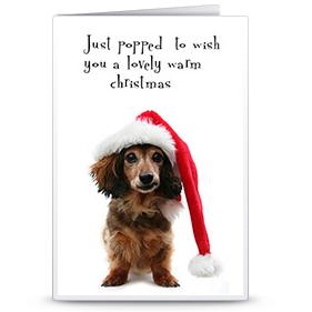 圣诞贺卡之温暖狗狗威廉希尔公司官网
自制可打印圣诞贺卡模版免费下载