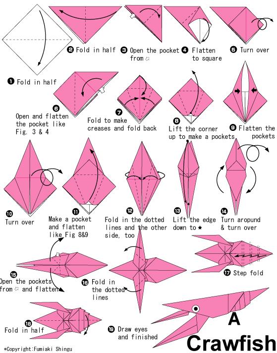 威廉希尔公司官网
折纸小龙虾通过折纸的方式教你如何完成折纸小龙虾的折法
